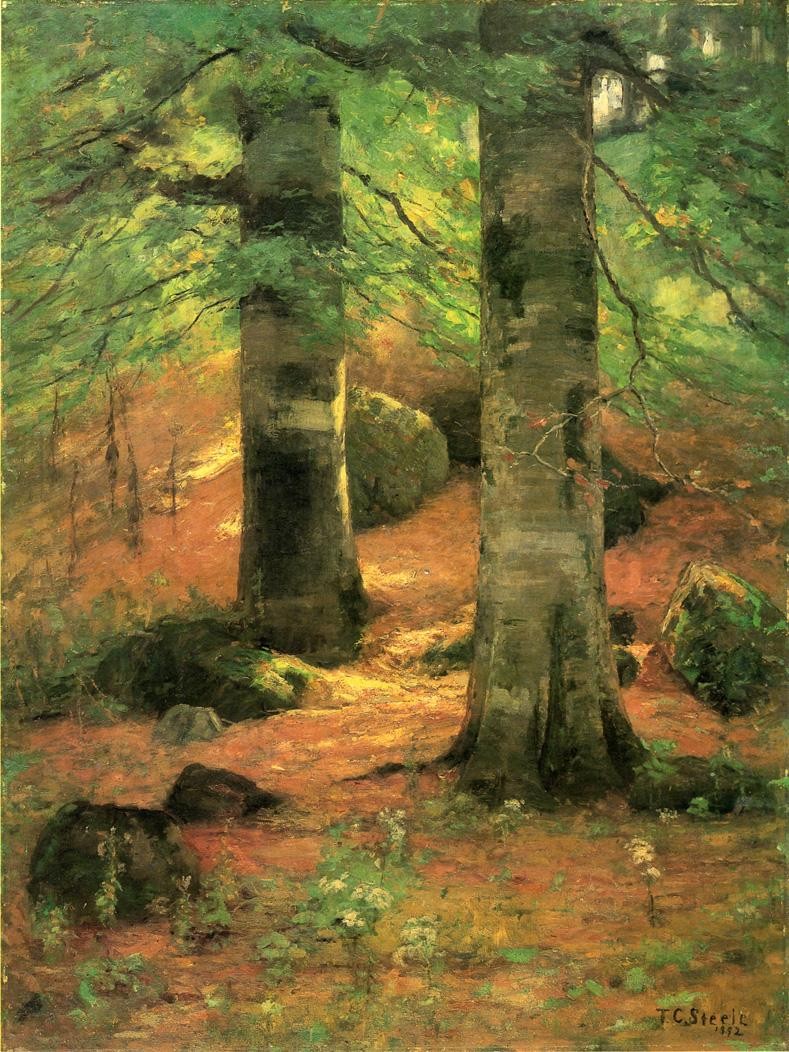 Vernon Beeches by T. C. Steele