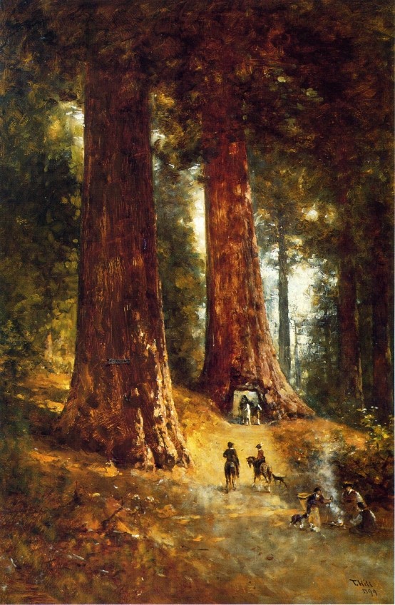 In the Redwoods by Thomas Hill