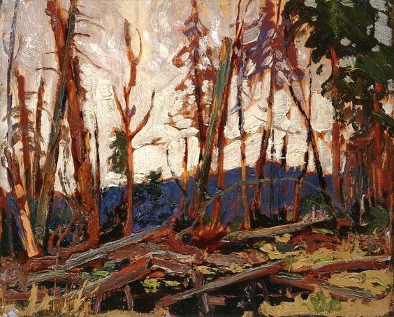 Burnt Country, Evening. Sketch for 'Burnt Land' by Tom Thomson