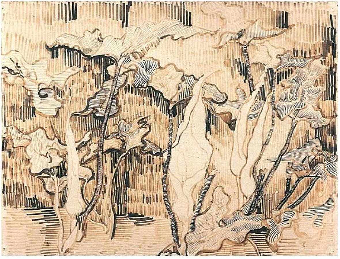 Arums by Vincent van Gogh