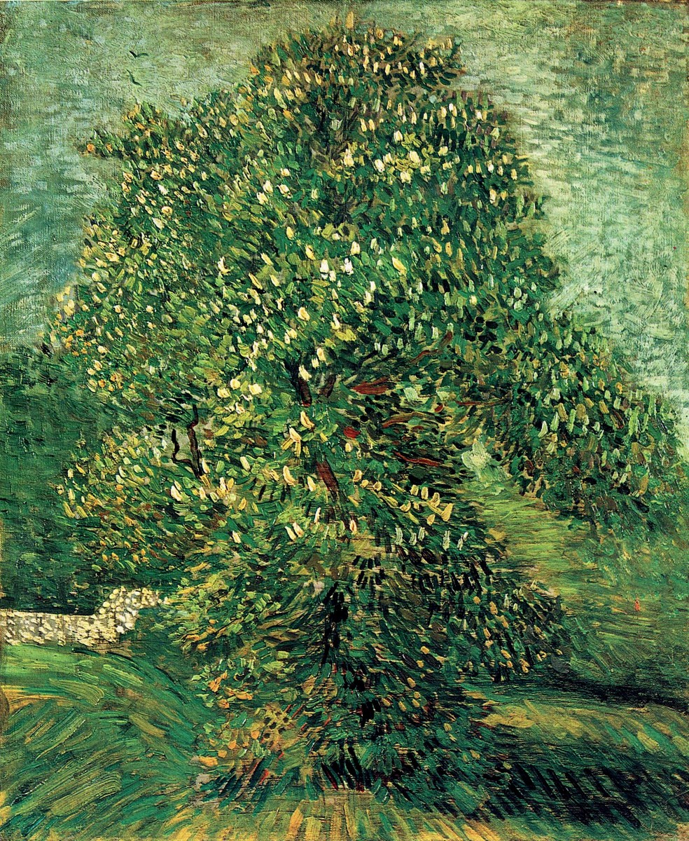Chestnut Tree in Blossom by Vincent van Gogh