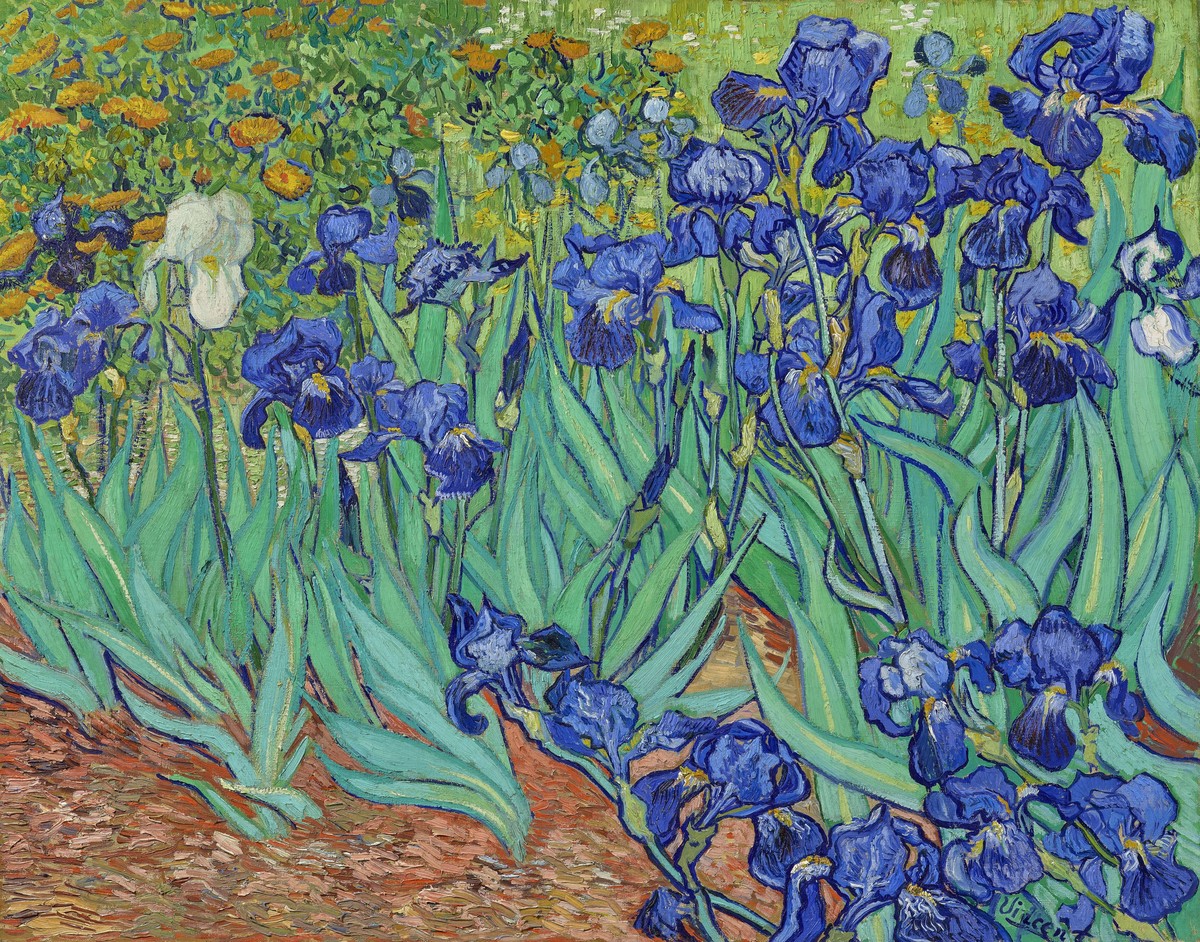 Irises by Vincent van Gogh