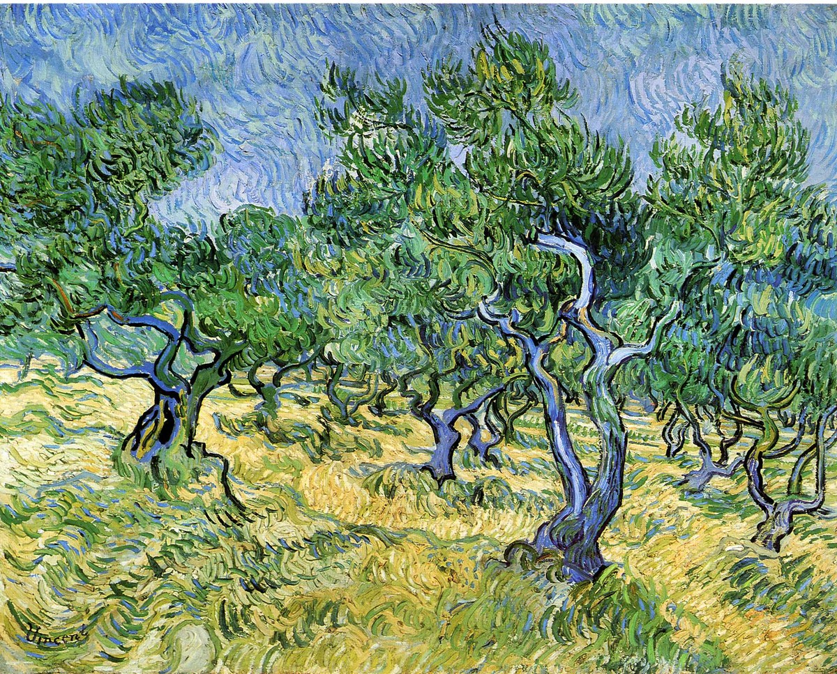 Olive Grove by Vincent van Gogh