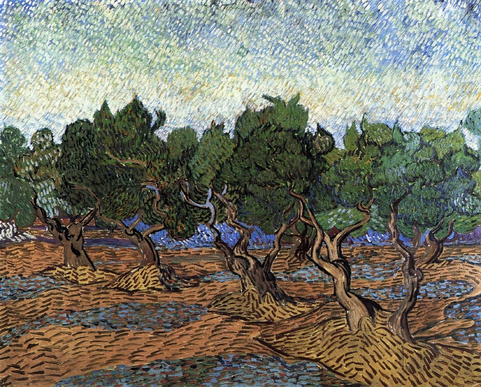 Olive Grove by Vincent van Gogh