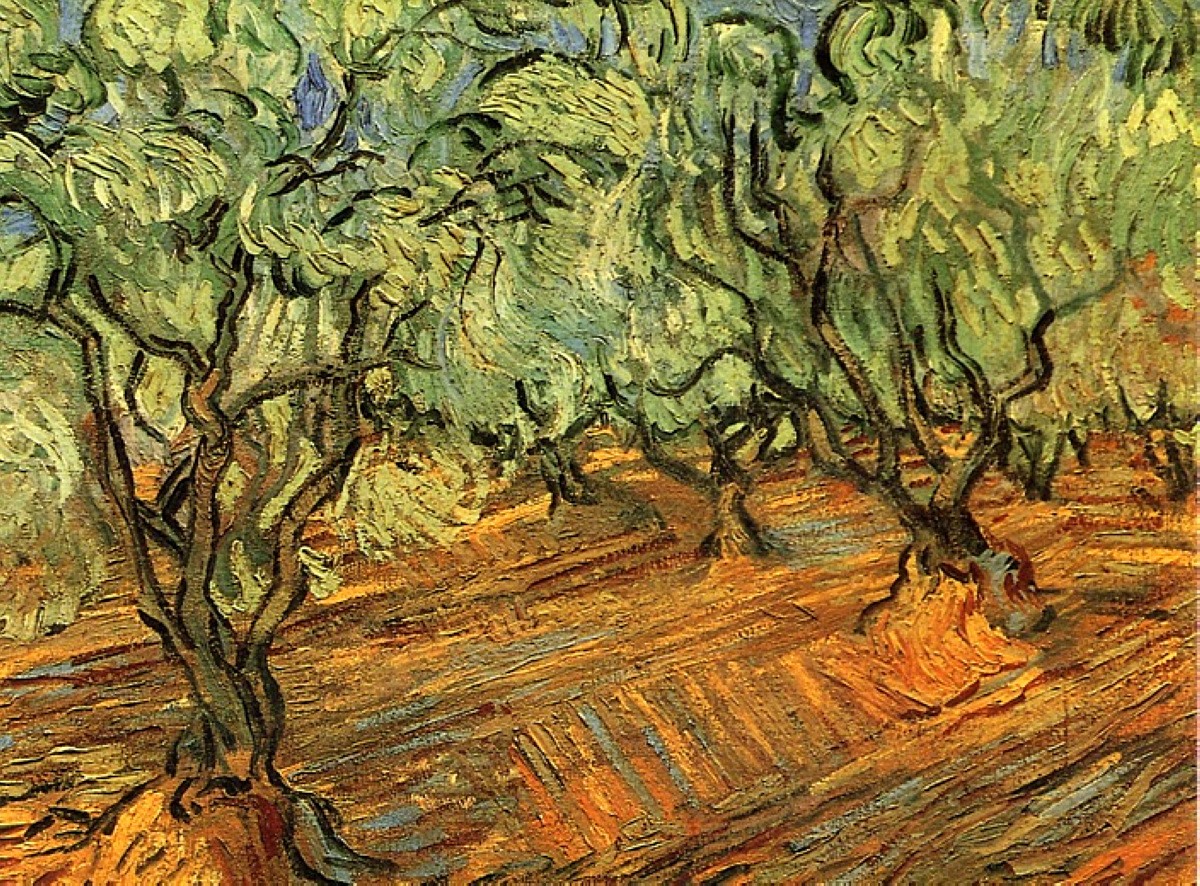 Olive Grove - Bright Blue Sky by Vincent van Gogh