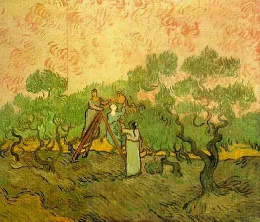 Olive Picking by Vincent van Gogh