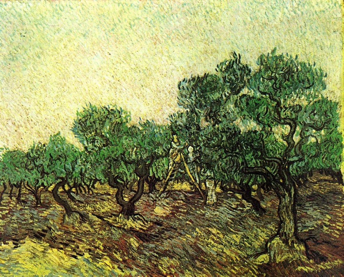 Olive Picking by Vincent van Gogh