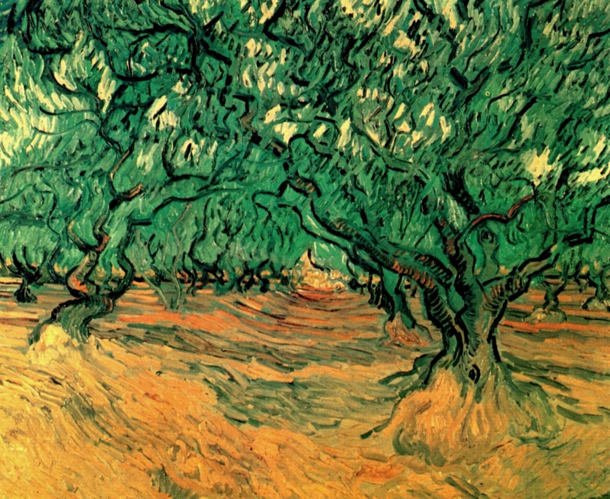 Olive Trees by Vincent van Gogh