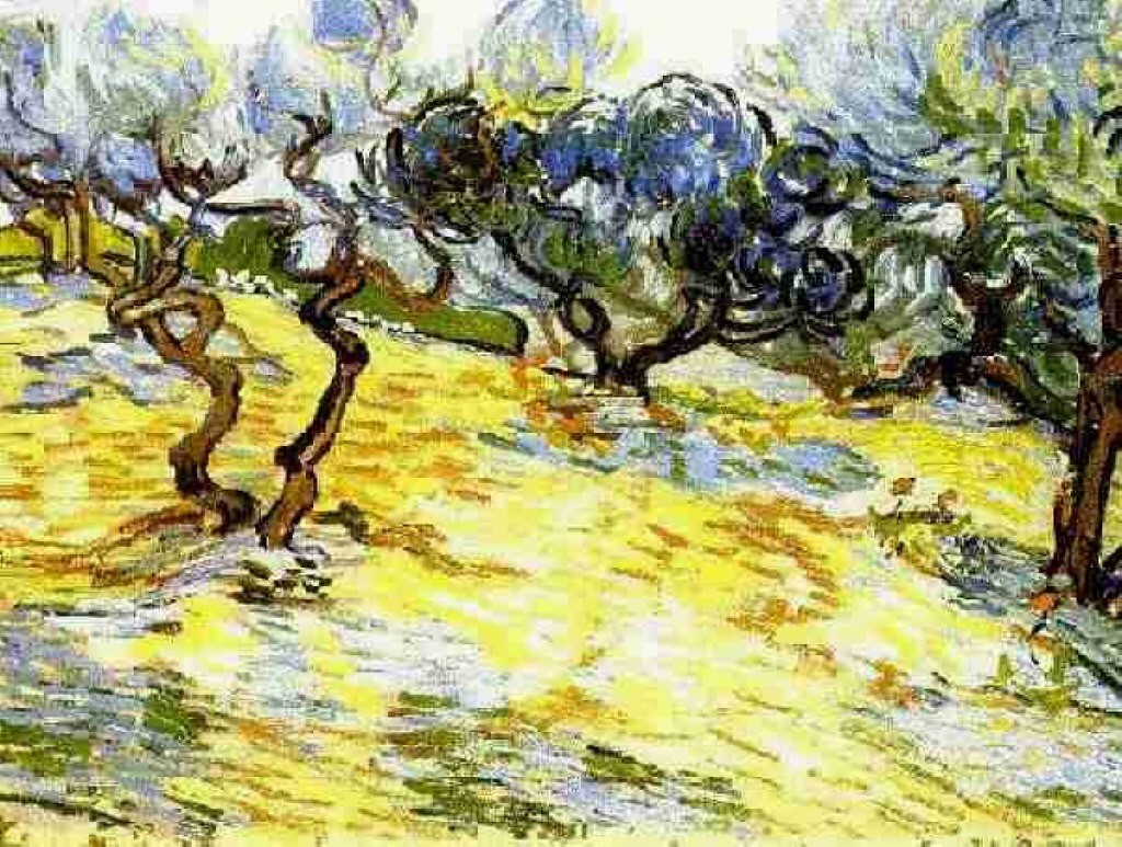 Olive Trees Bright Blue Sky by Vincent van Gogh