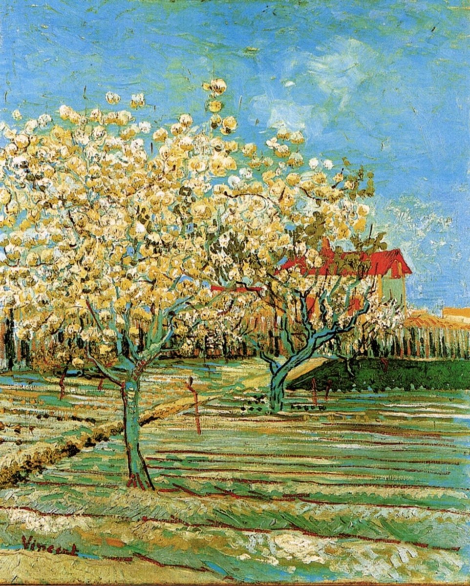 Orchard in Blossom by Vincent van Gogh