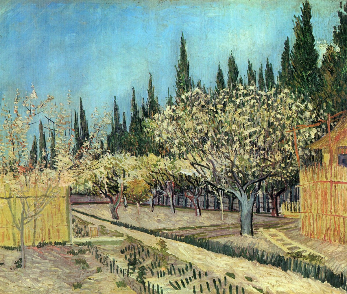 Orchard in Blossom, Bordered by Cypresses by Vincent van Gogh