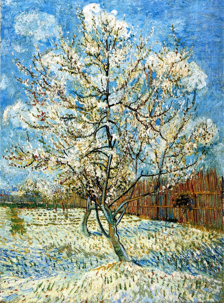 Peach Trees in Blossom by Vincent van Gogh