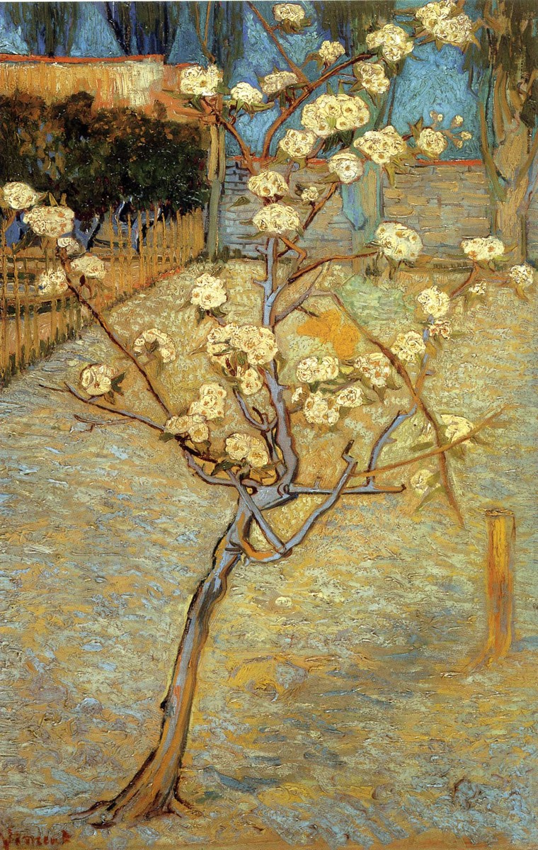 Pear Tree in Blossom by Vincent van Gogh