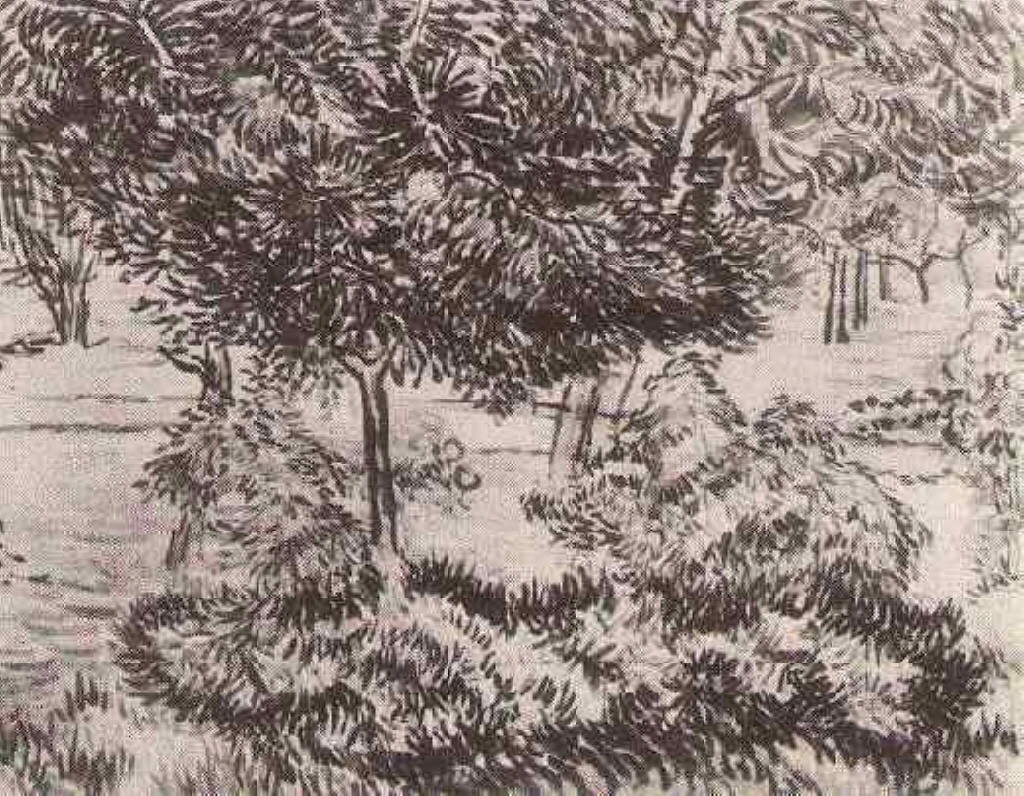 Trees and Shrubs by Vincent van Gogh