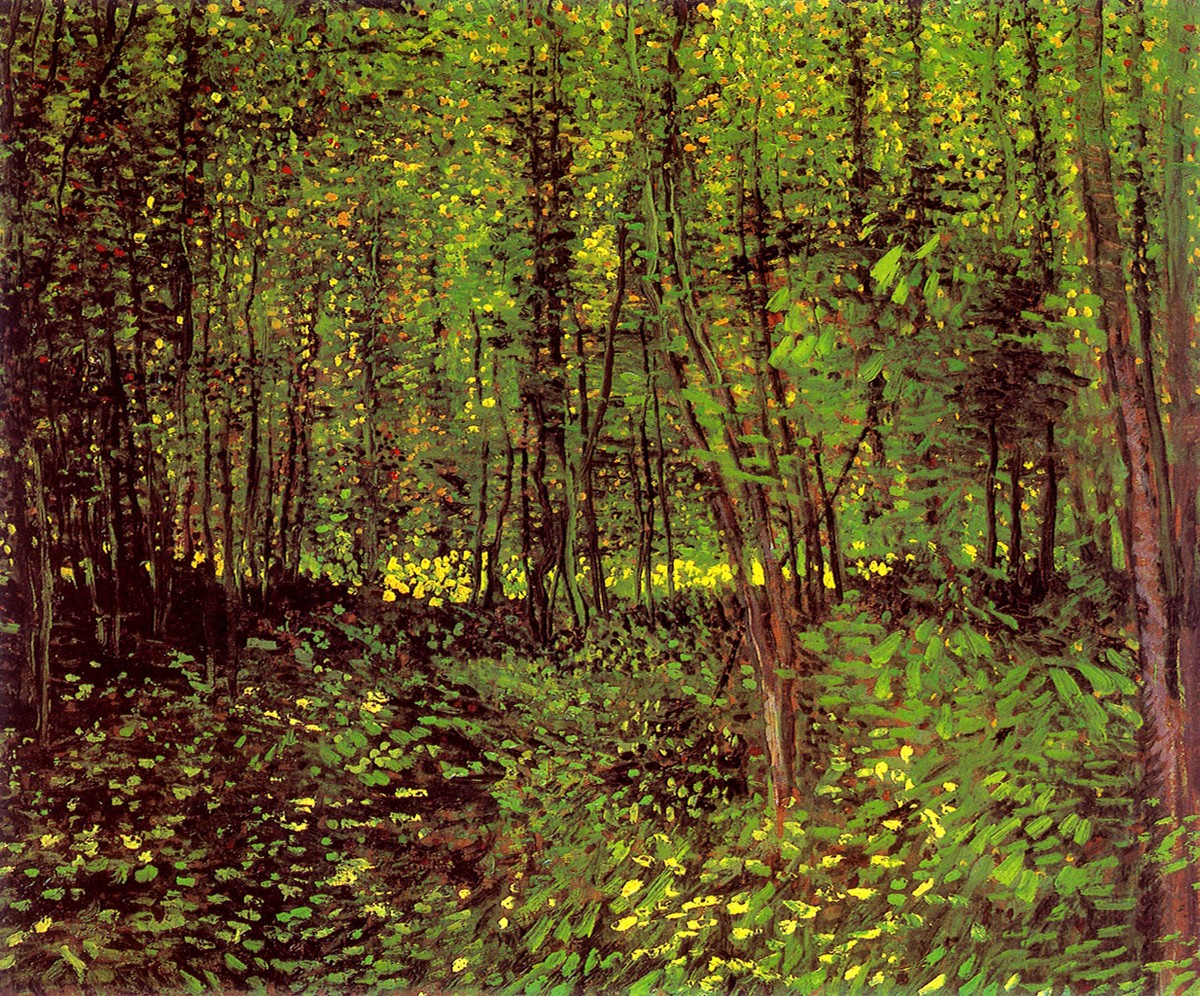 Trees and Undergrowth by Vincent van Gogh