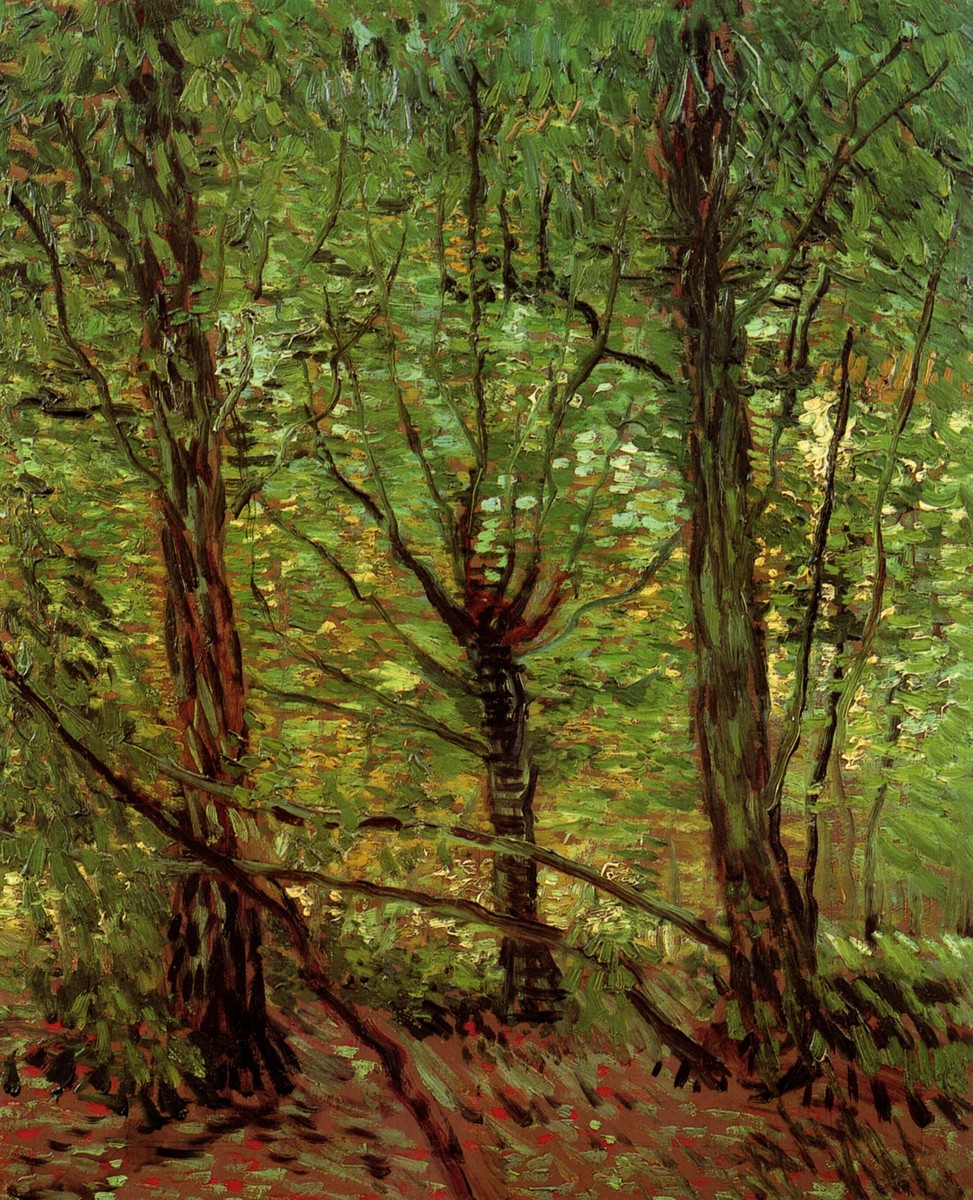 Trees and Undergrowth by Vincent van Gogh