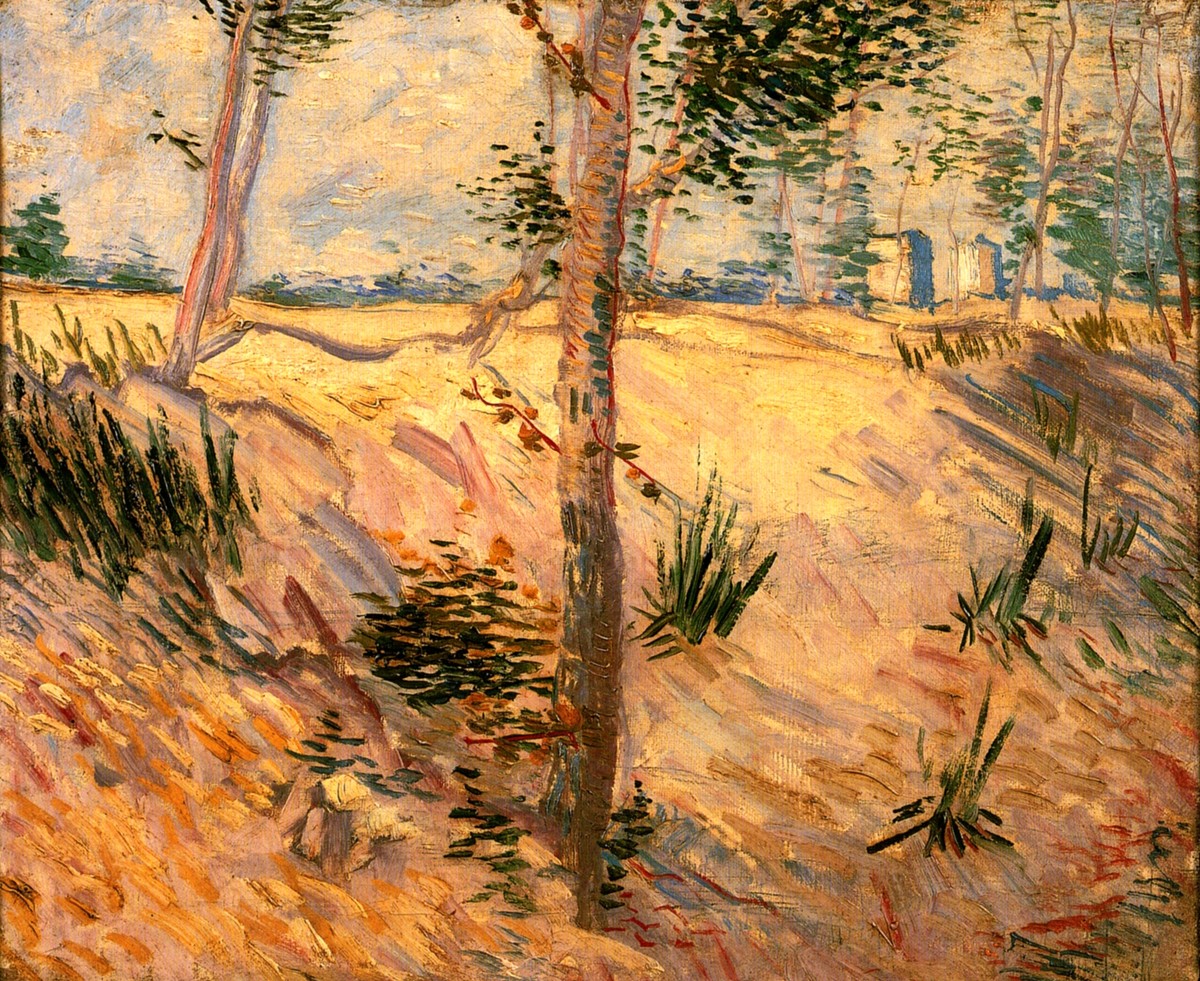 Trees in a Field on a Sunny Day by Vincent van Gogh