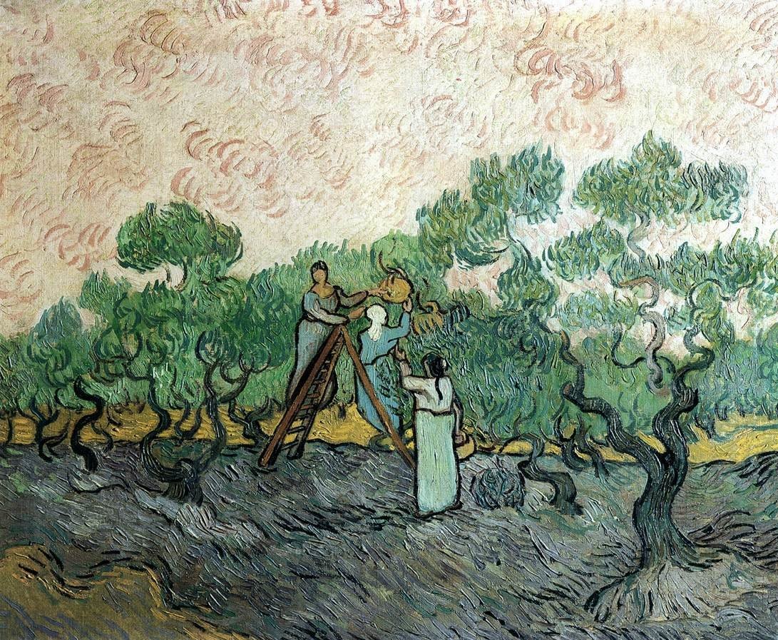 Women Picking Olives by Vincent van Gogh
