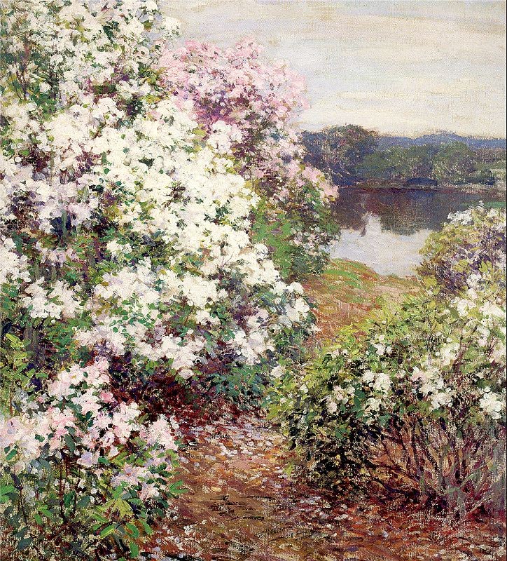 Mountain Laurel by Willard Metcalf