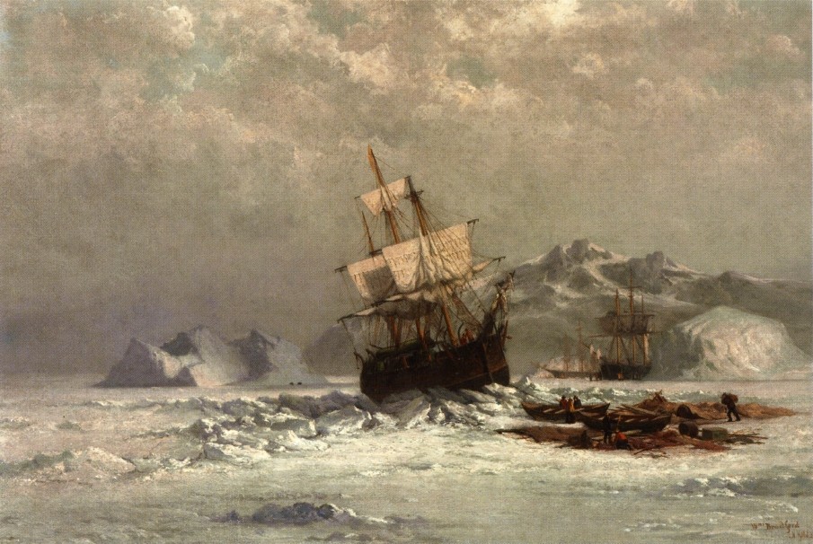 Locked in Ice by William Bradford