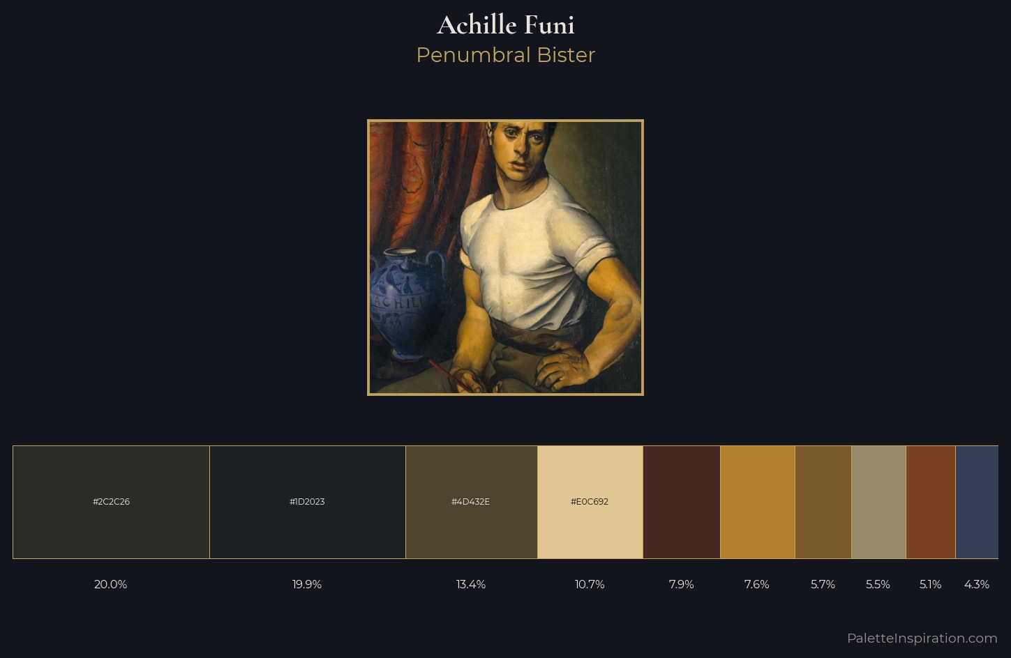 Achille Funi Palette 2 — Penumbral Bister