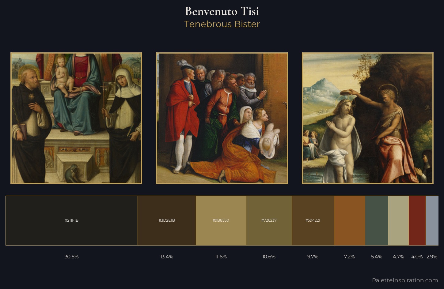 Benvenuto Tisi Palette 5 — Tenebrous Bister