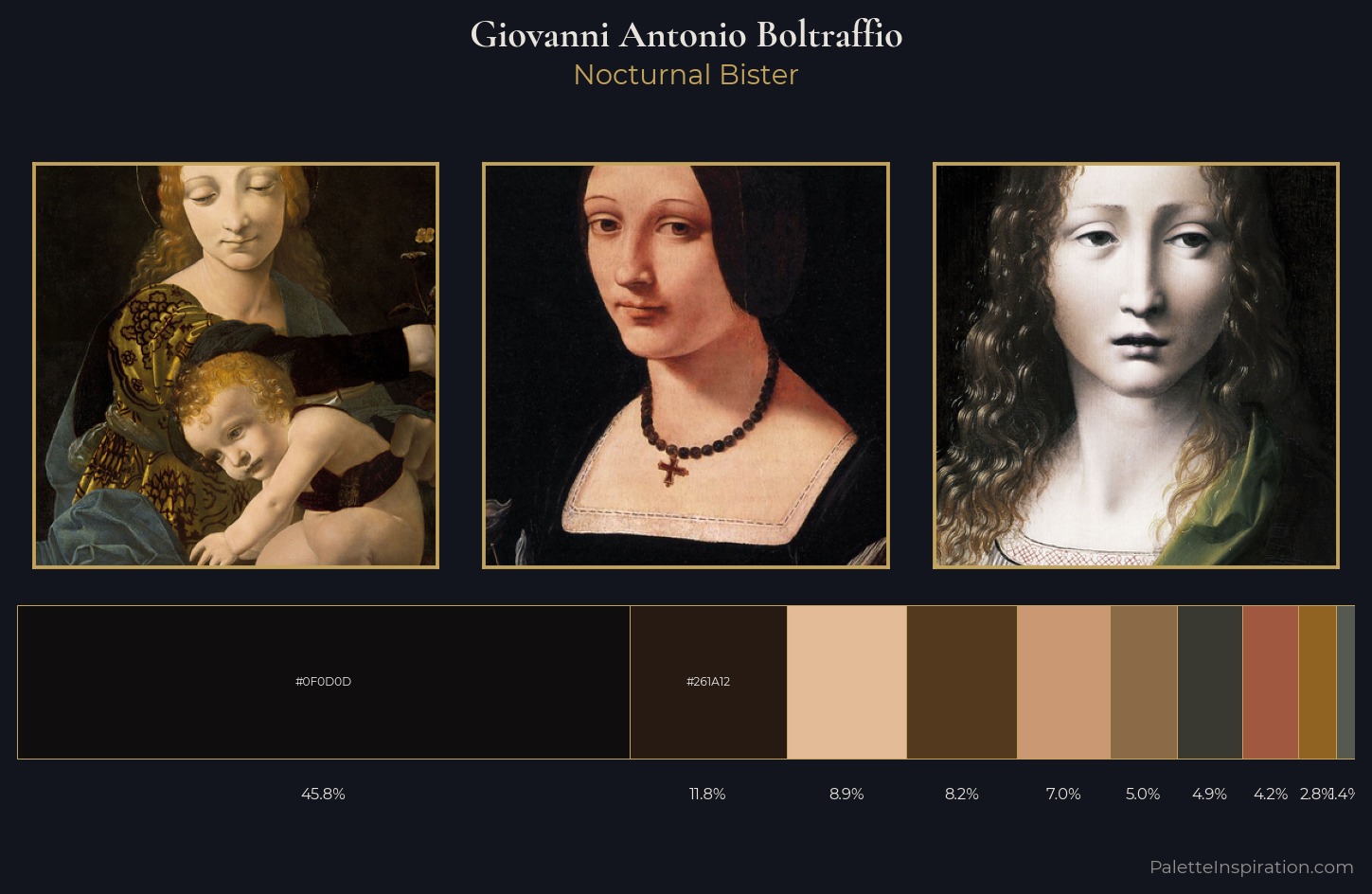 Giovanni Antonio Boltraffio Palette 2 — Nocturnal Bister