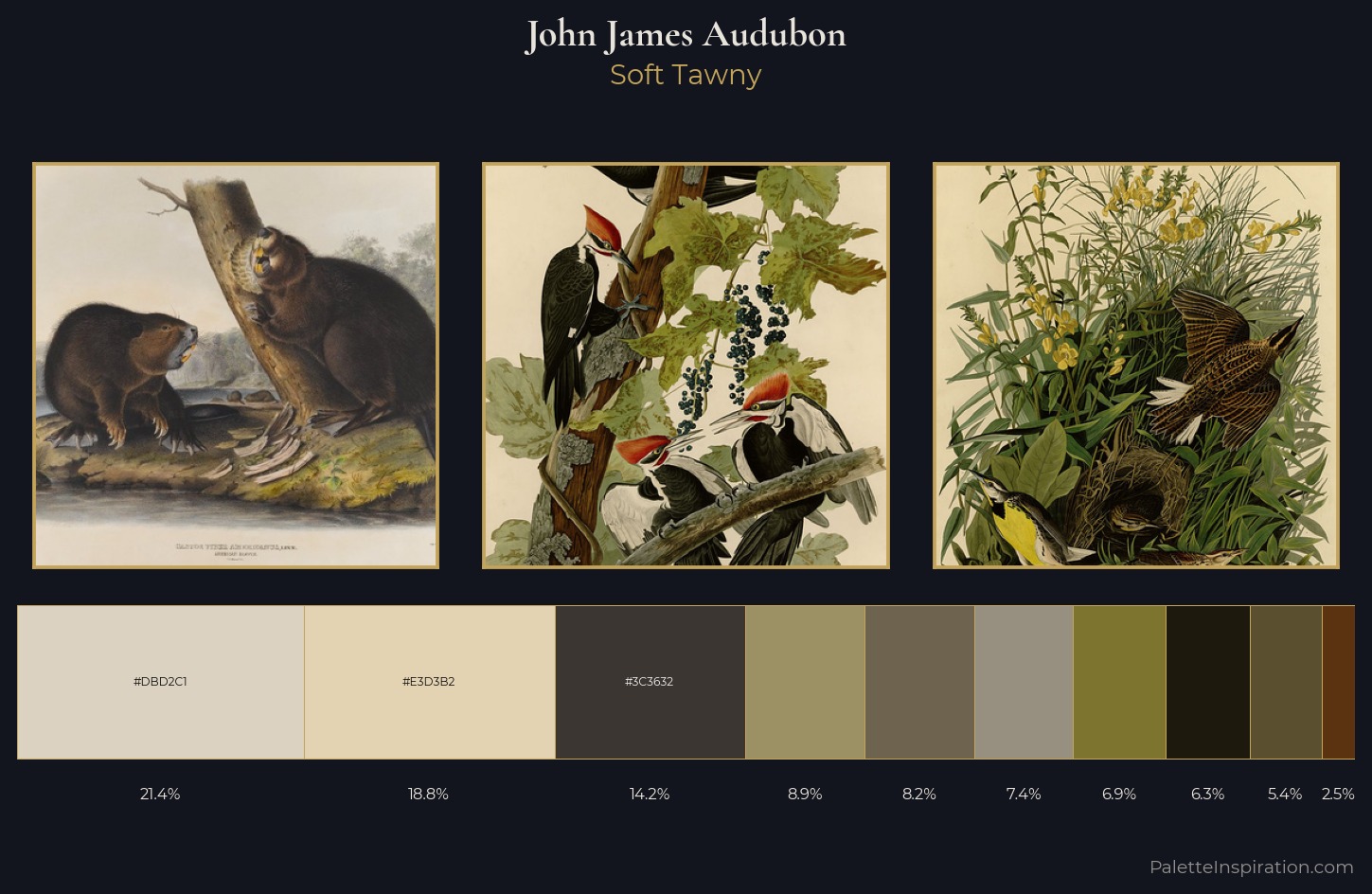 John James Audubon Palette 4 — Soft Tawny