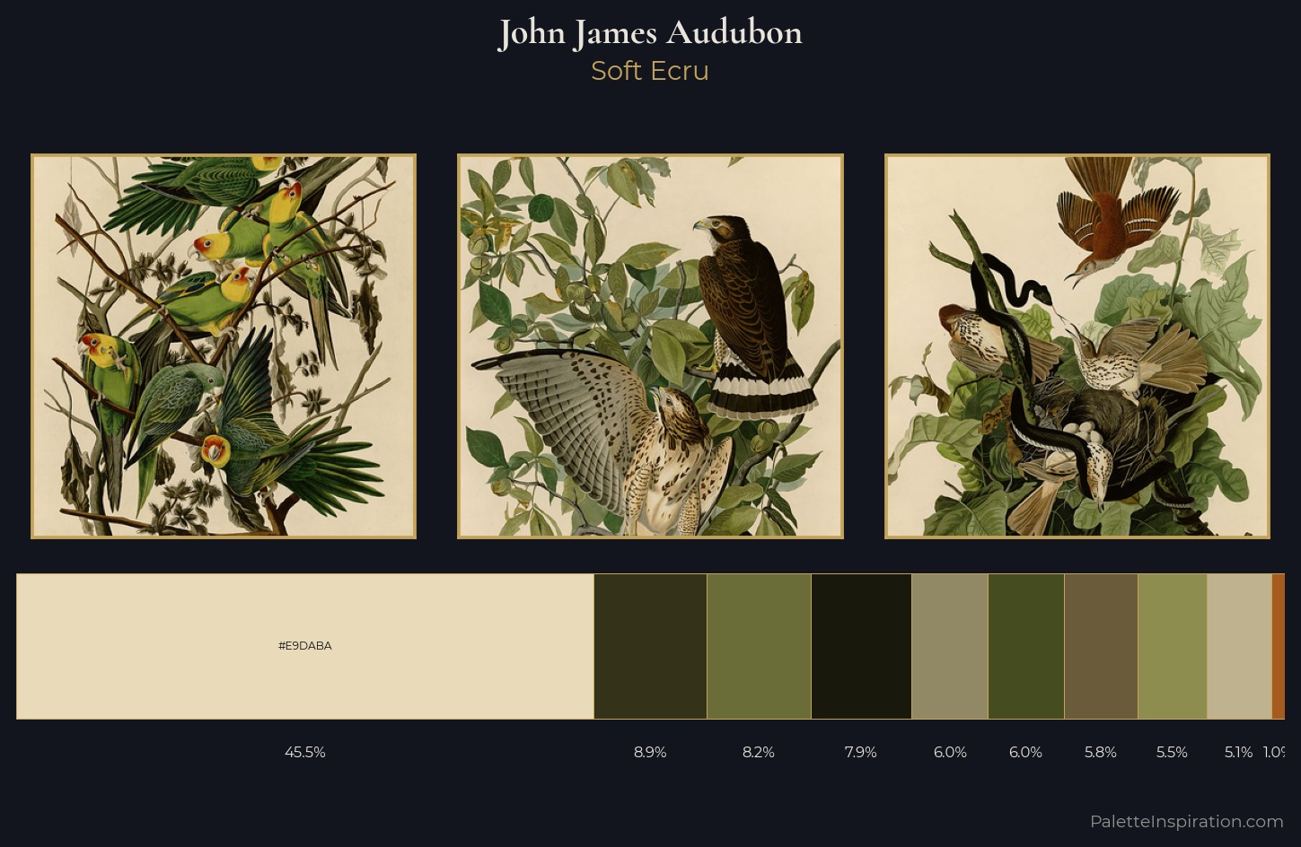 John James Audubon Palette 5 — Soft Ecru