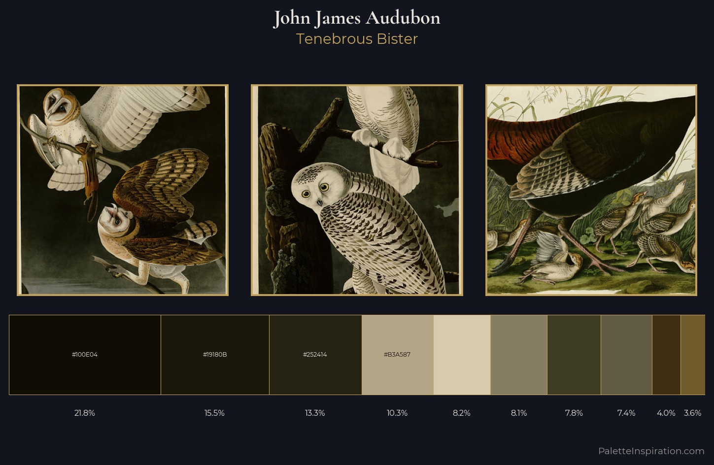 John James Audubon Palette 6 — Tenebrous Bister
