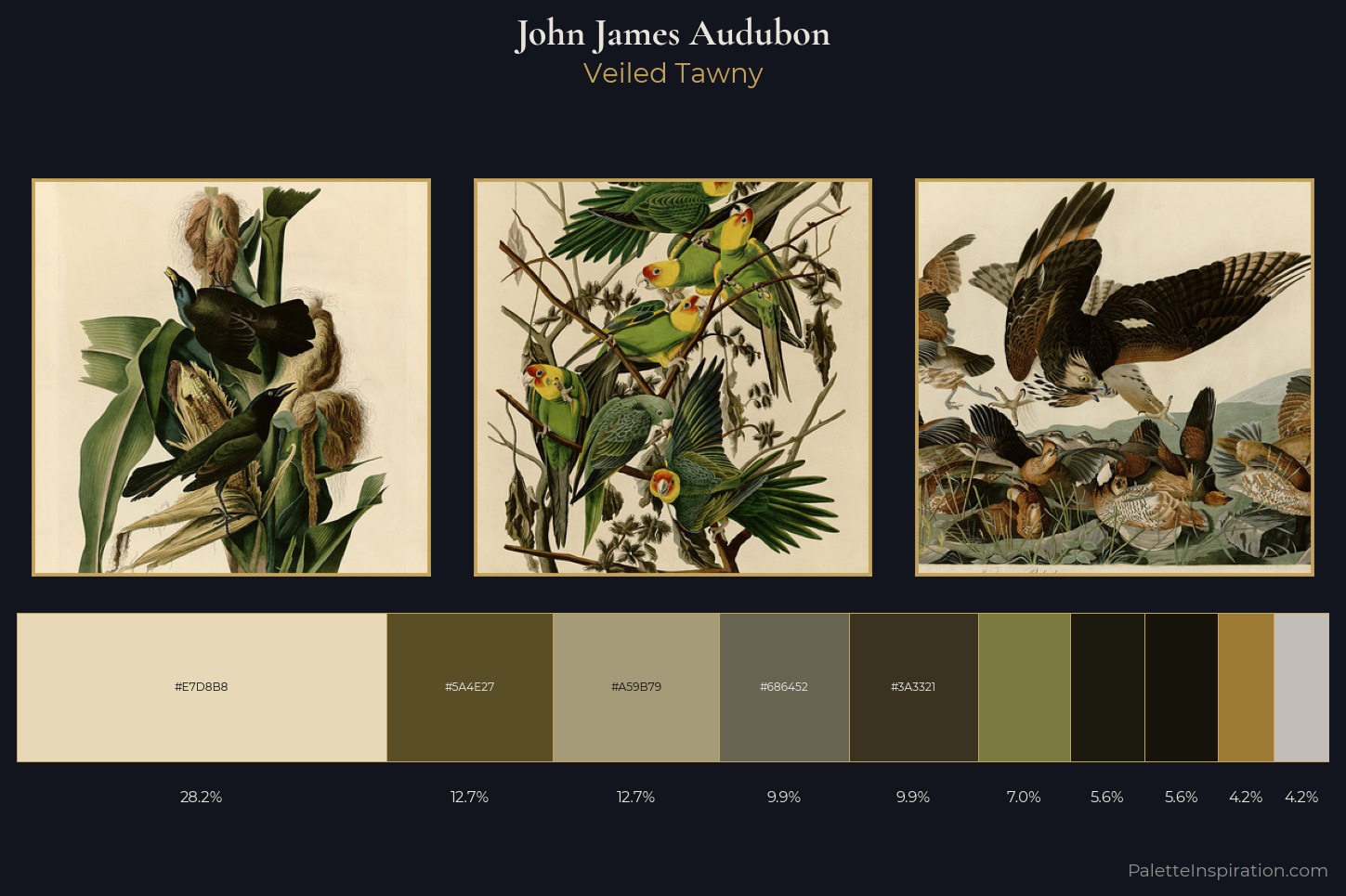 John James Audubon Master Palette — Veiled Tawny