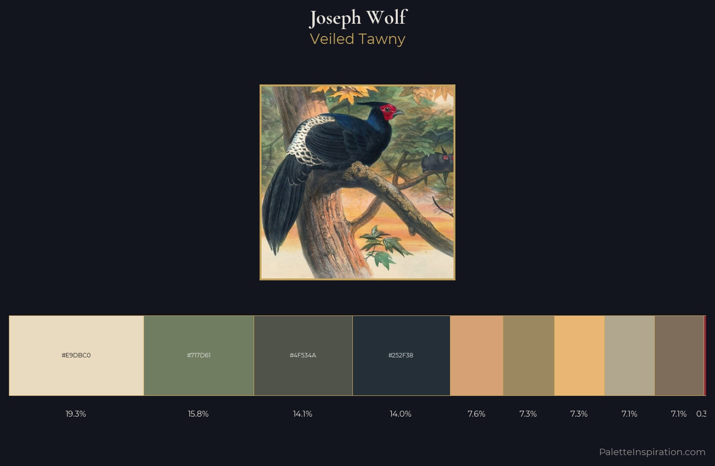 Joseph Wolf Palette 4 — Veiled Tawny