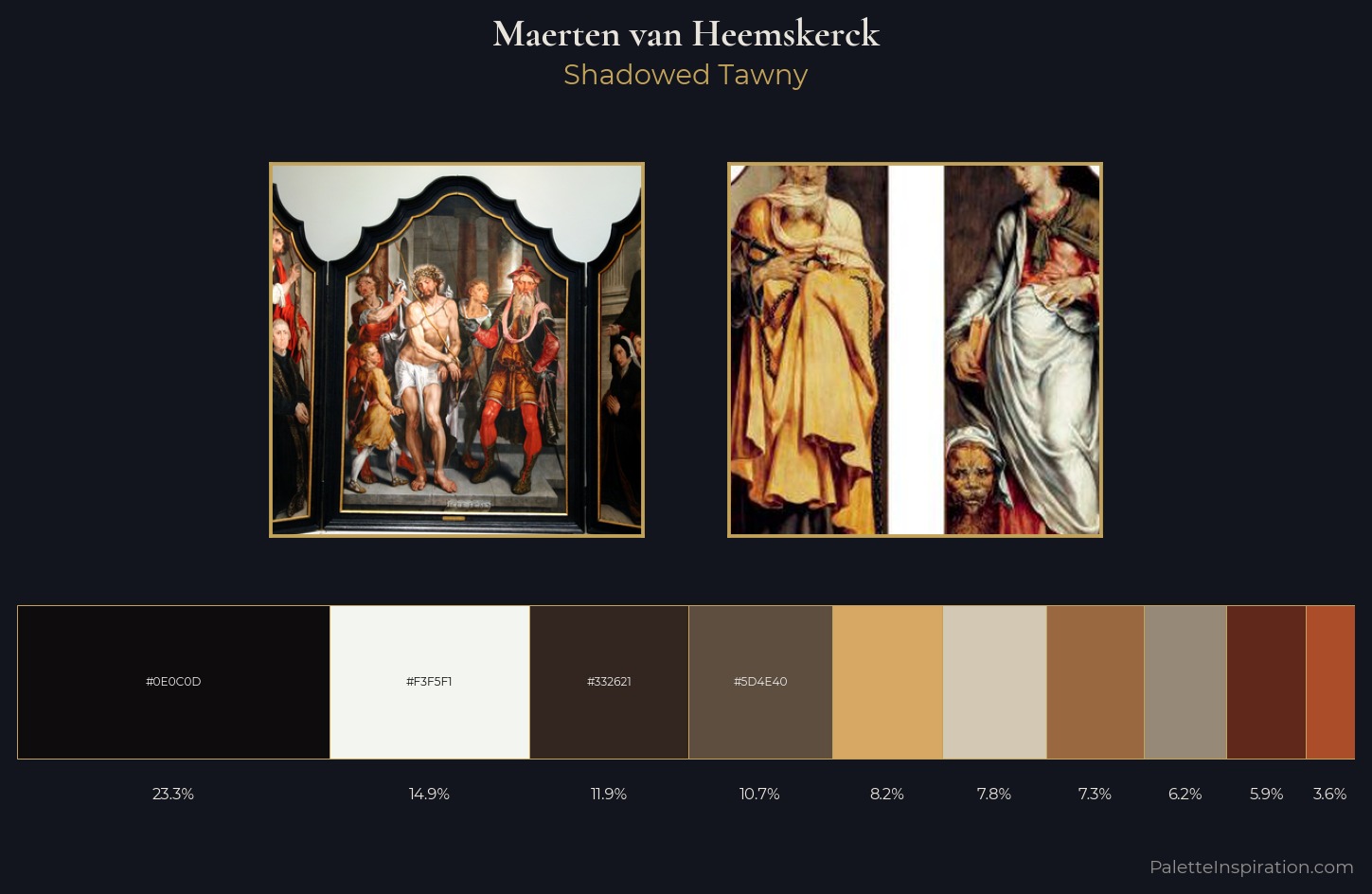 Maerten van Heemskerck Palette 5 — Shadowed Tawny