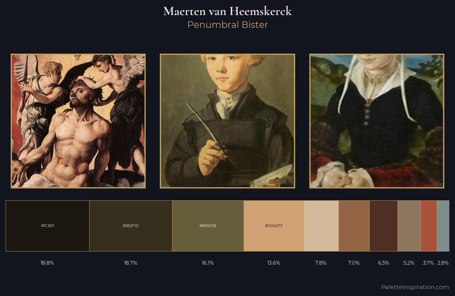 Maerten van Heemskerck Palette 7 — Penumbral Bister