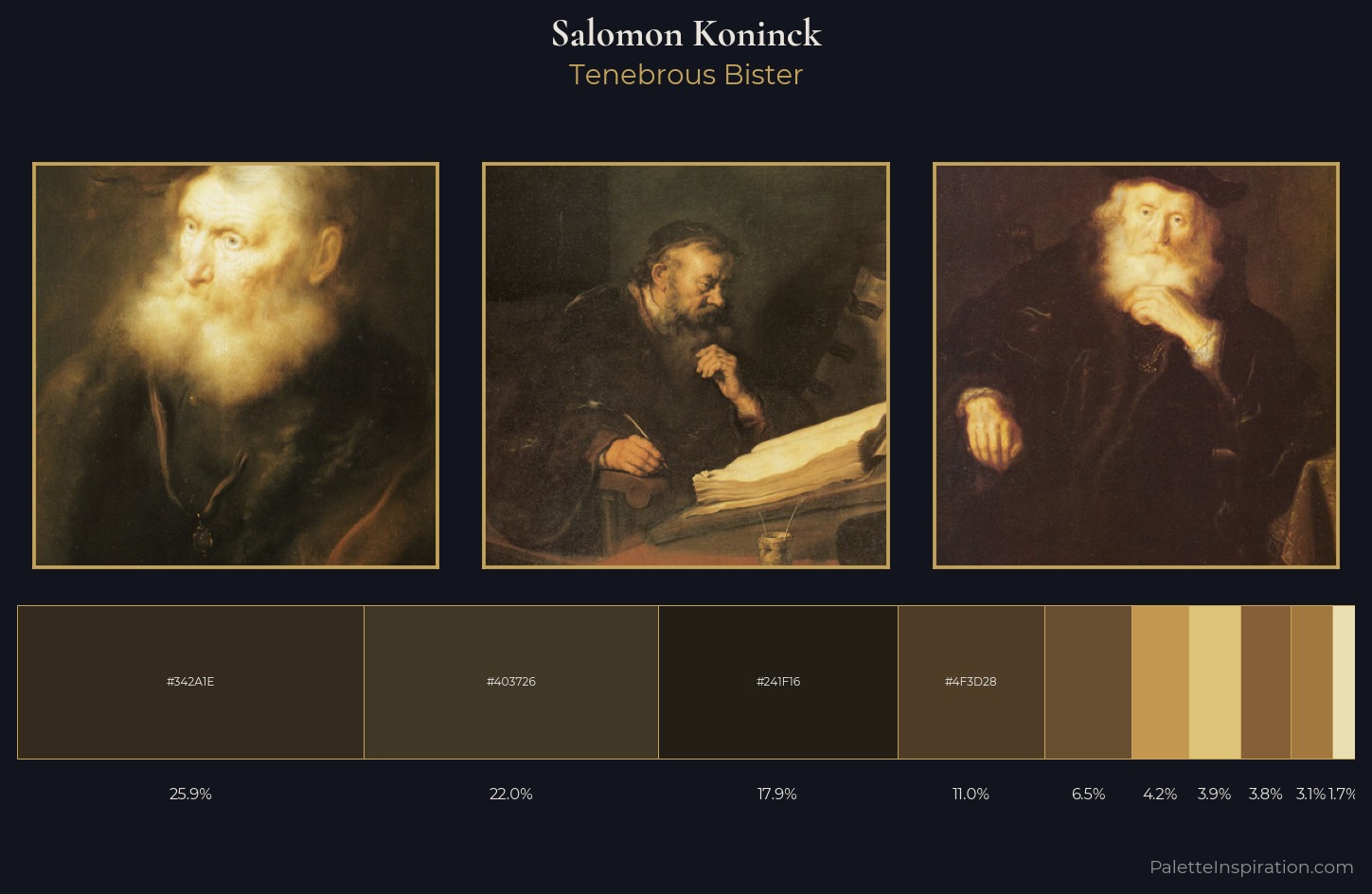 Salomon Koninck Palette 1 — Tenebrous Bister