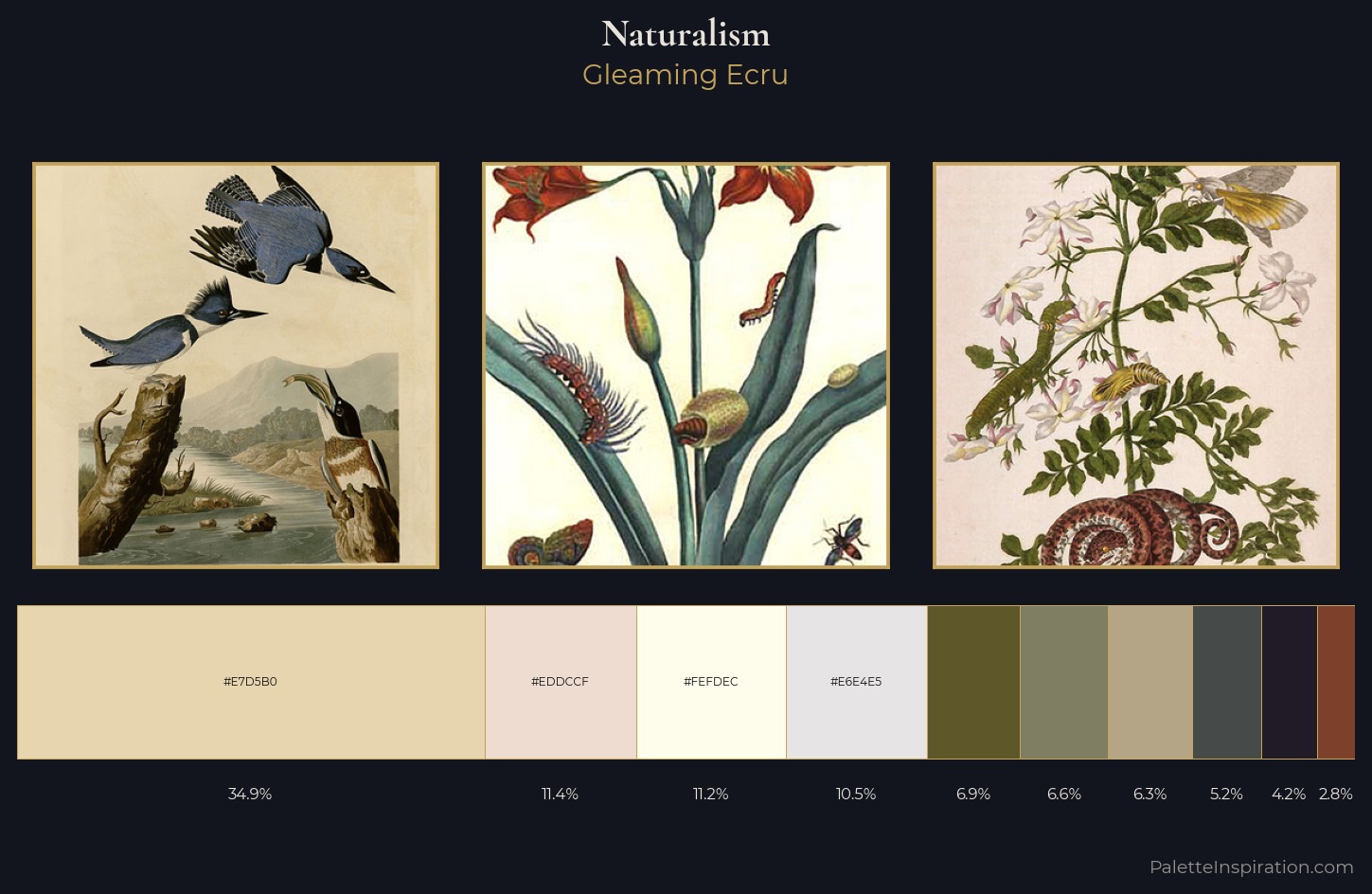 Naturalism Color Palette