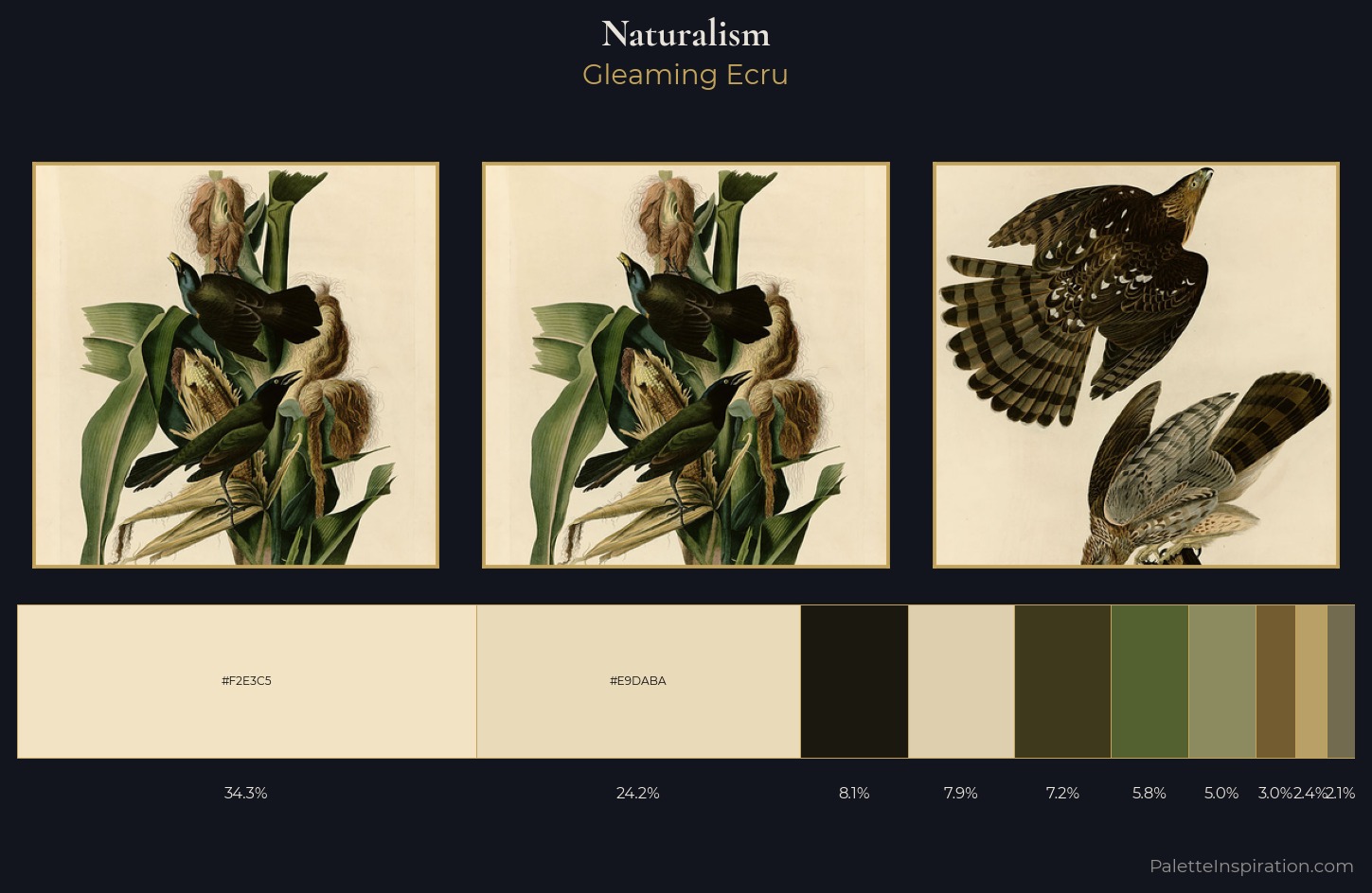 Naturalism Palette 6 — Gleaming Ecru