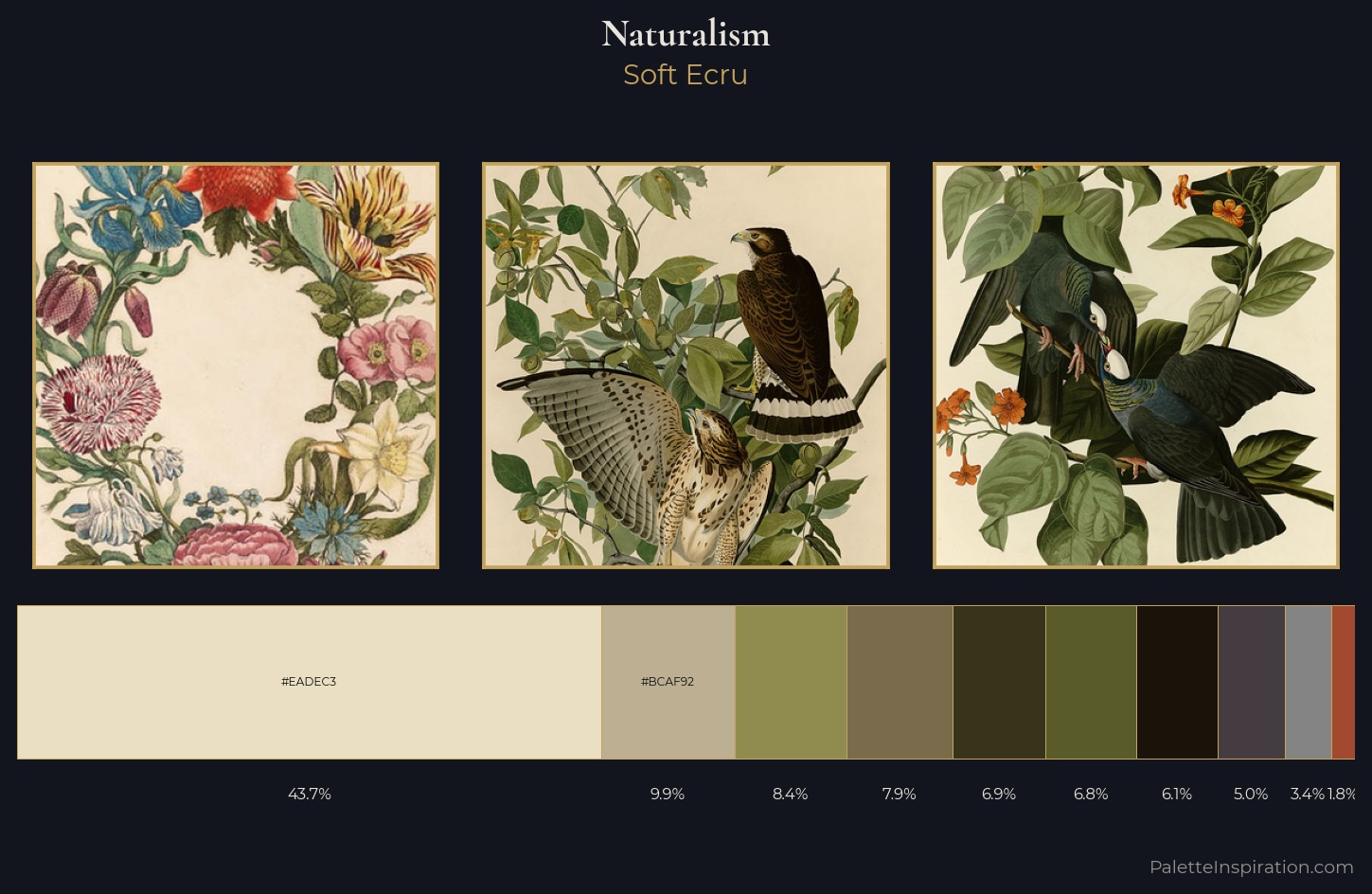 Naturalism Palette 11 — Soft Ecru
