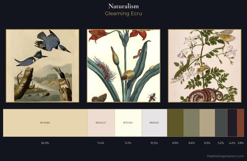 Naturalism Palette 1