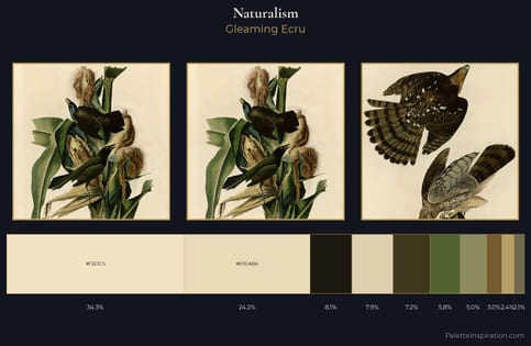 Naturalism Palette 6