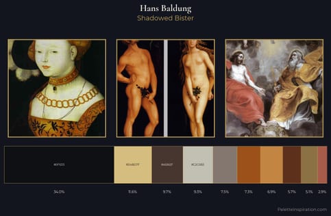 Hans Baldung Palette 5 - Shadowed Bister