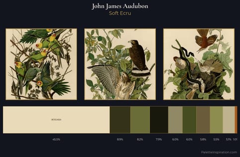 John James Audubon Palette 5 - Soft Ecru