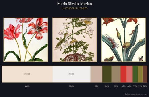 Maria Sibylla Merian Palette 4